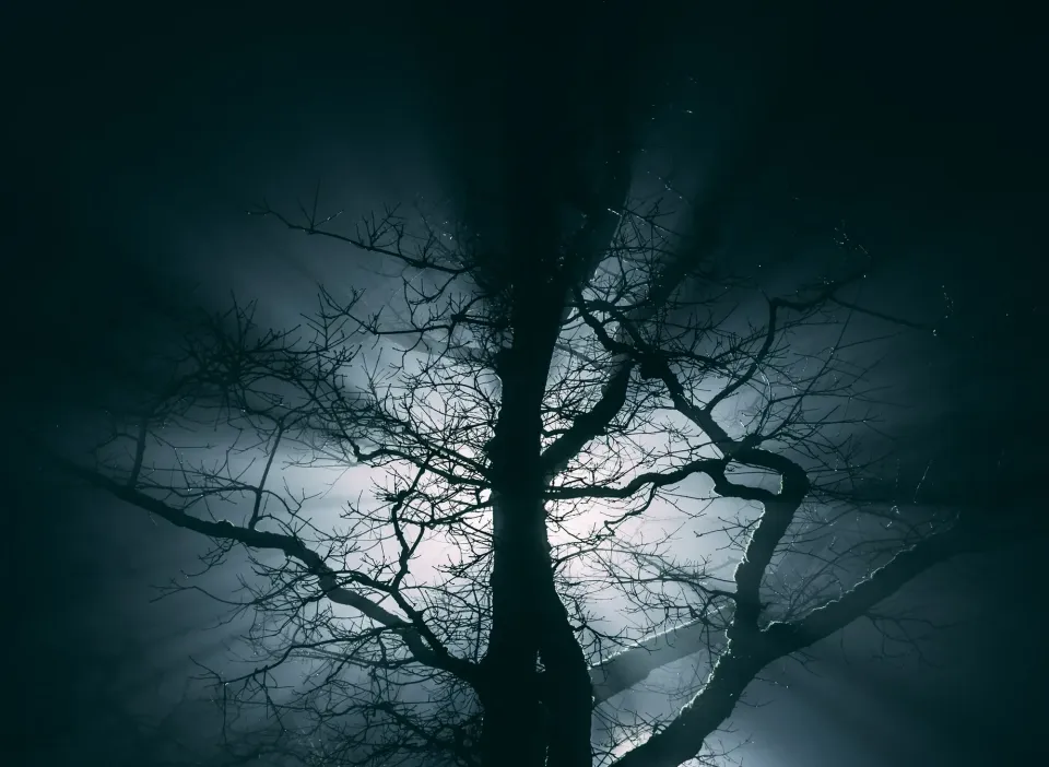 Stepping into the Lead